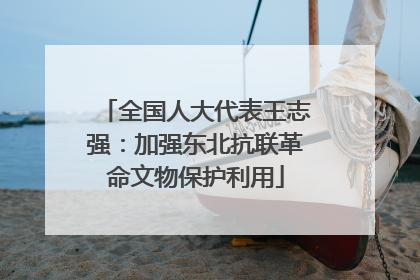 全国人大代表王志强：加强东北抗联革命文物保护利用