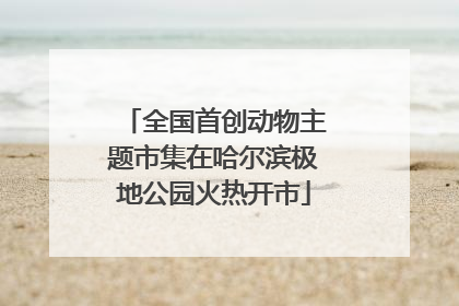 全国首创动物主题市集在哈尔滨极地公园火热开市