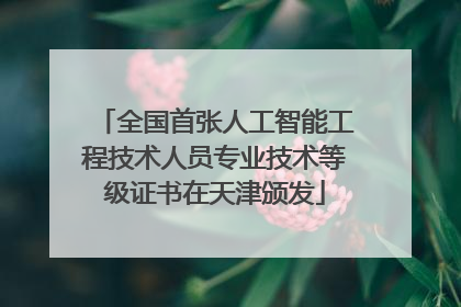 全国首张人工智能工程技术人员专业技术等级证书在天津颁发