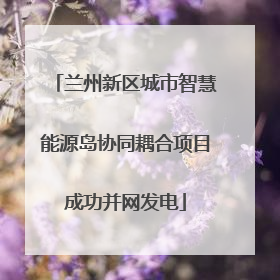 兰州新区城市智慧能源岛协同耦合项目成功并网发电