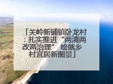 关岭新铺镇卧龙村：扎实推进“两清两改两治理” 绘就乡村宜居新图景
