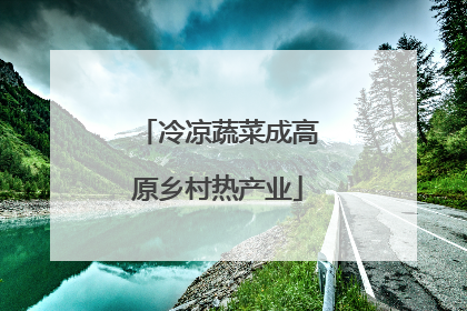 冷凉蔬菜成高原乡村热产业