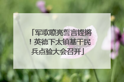 军歌嘹亮誓言铿锵！英德下太镇基干民兵点验大会召开