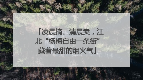 凌晨摘、清晨卖,江北“杨梅自由一条街”藏着最甜的烟火气