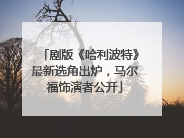 剧版《哈利波特》最新选角出炉，马尔福饰演者公开