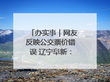 办实事｜网友反映公交票价错误 辽宁阜新：及时核查更正 加强实时巡检