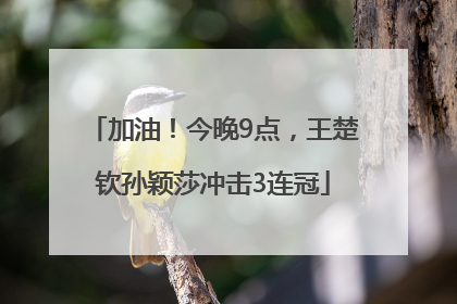 加油！今晚9点，王楚钦孙颖莎冲击3连冠