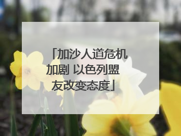 加沙人道危机加剧 以色列盟友改变态度
