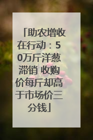 助农增收在行动：50万斤洋葱滞销 收购价每斤却高于市场价三分钱
