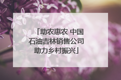 助农惠农 中国石油吉林销售公司助力乡村振兴