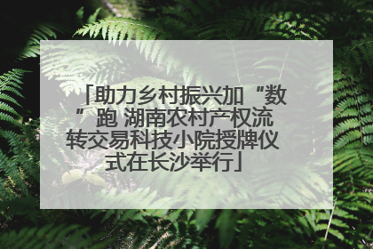 助力乡村振兴加“数”跑 湖南农村产权流转交易科技小院授牌仪式在长沙举行