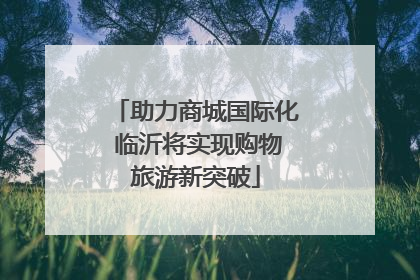 助力商城国际化 临沂将实现购物旅游新突破