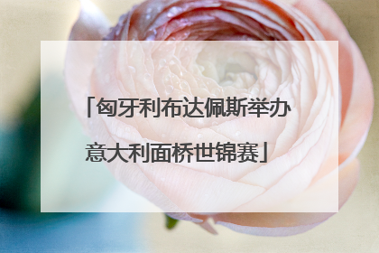 匈牙利布达佩斯举办意大利面桥世锦赛
