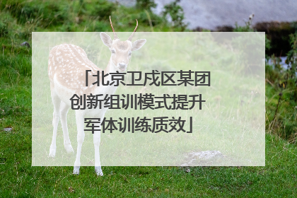 北京卫戍区某团创新组训模式提升军体训练质效