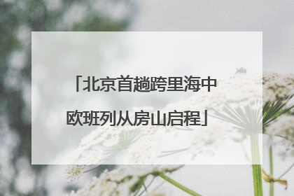 北京首趟跨里海中欧班列从房山启程