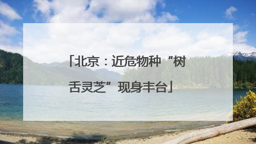 北京：近危物种“树舌灵芝”现身丰台