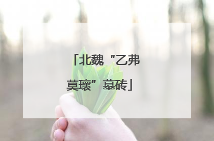 北魏“乙弗莫瓌”墓砖