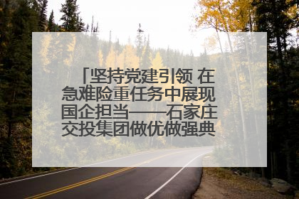 坚持党建引领 在急难险重任务中展现国企担当——石家庄交投集团做优做强典型报道之一