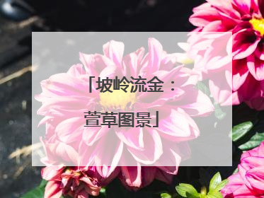 坡岭流金：萱草图景