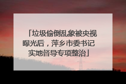 垃圾偷倒乱象被央视曝光后，萍乡市委书记实地督导专项整治
