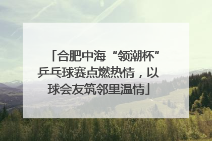 合肥中海“领潮杯”乒乓球赛点燃热情，以球会友筑邻里温情