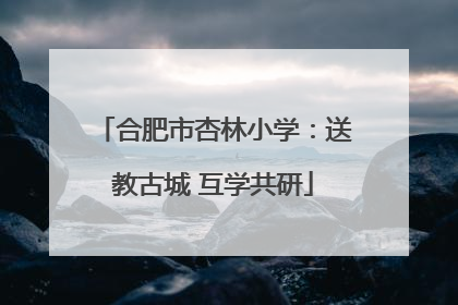 合肥市杏林小学：送教古城 互学共研