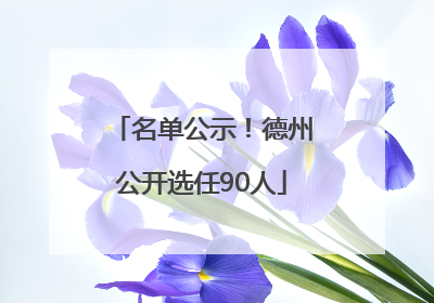 名单公示！德州公开选任90人