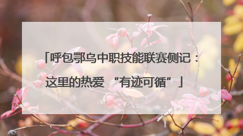 呼包鄂乌中职技能联赛侧记：这里的热爱 “有迹可循”