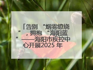 告别 “烟雾缭绕”，拥抱 “海阳蓝”——海阳市疾控中心开展2025 年无烟宣传“海阳特色”实践记录
