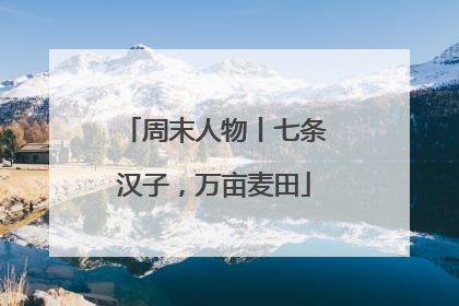 周末人物丨七条汉子，万亩麦田
