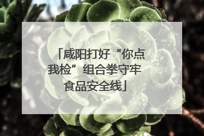 咸阳打好“你点我检”组合拳守牢食品安全线
