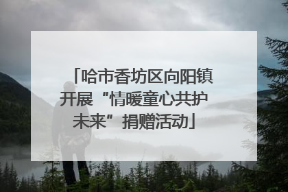 哈市香坊区向阳镇开展“情暖童心共护未来”捐赠活动