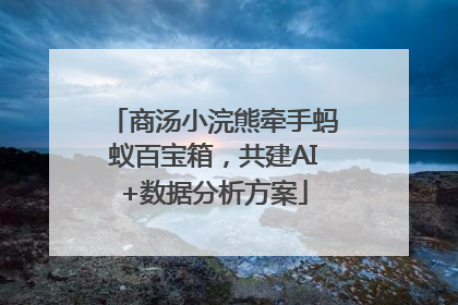 商汤小浣熊牵手蚂蚁百宝箱，共建AI+数据分析方案