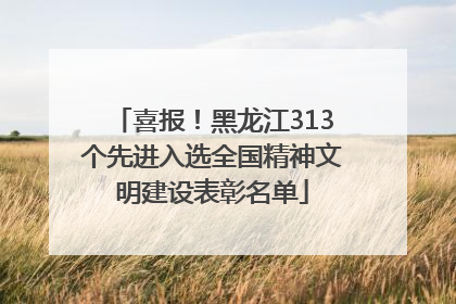 喜报！黑龙江313个先进入选全国精神文明建设表彰名单