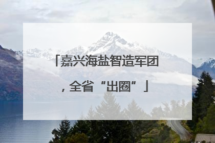 嘉兴海盐智造军团，全省“出圈”