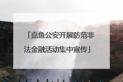 嘉鱼公安开展防范非法金融活动集中宣传