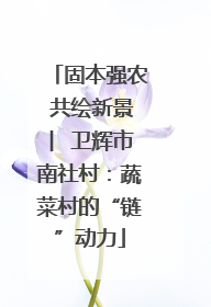 固本强农 共绘新景 ︳卫辉市南社村：蔬菜村的“链”动力