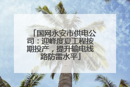 国网永安市供电公司：迎峰度夏工程按期投产，提升输电线路防雷水平