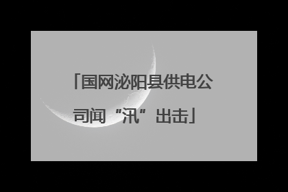 国网泌阳县供电公司闻“汛”出击
