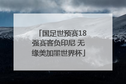 国足世预赛18强赛客负印尼 无缘美加墨世界杯