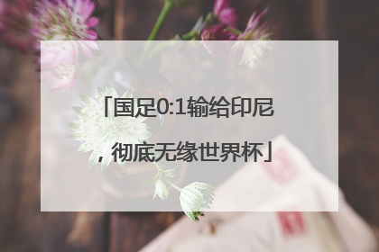 国足0:1输给印尼，彻底无缘世界杯