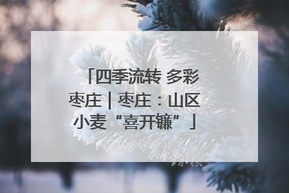 四季流转 多彩枣庄｜枣庄：山区小麦“喜开镰”