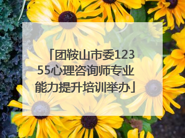 团鞍山市委12355心理咨询师专业能力提升培训举办