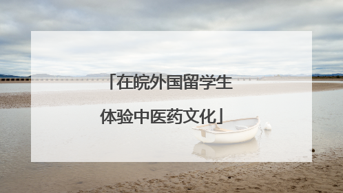 在皖外国留学生体验中医药文化