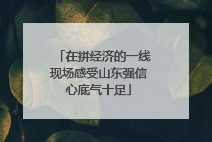 在拼经济的一线现场感受山东强信心底气十足