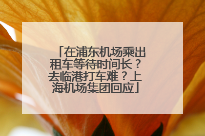 在浦东机场乘出租车等待时间长？去临港打车难？上海机场集团回应