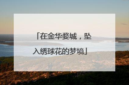 在金华婺城，坠入绣球花的梦境