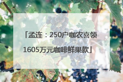 孟连：250户咖农喜领1605万元咖啡鲜果款