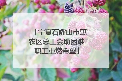 宁夏石嘴山市惠农区总工会助困难职工重燃希望