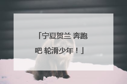 宁夏贺兰 奔跑吧 轮滑少年！